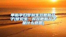 单胎孕妇梦到生双胞胎儿子(梦见生一对双胞胎儿子是什么意思)
