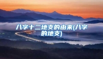 八字十二地支的由来(八字的地支)