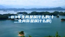 83年生肖是属什么的(十二生肖你是属什么的)