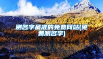 测名字最准的免费网站(免费测名字)
