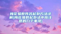 梅花易数姓名起卦方法详解(梅花易数起卦法中应注意的几个事项)