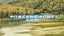 中介类公司取名(中介取什么名字)