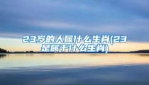 23岁的人属什么生肖(23是属于什么生肖)