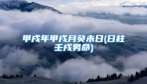 甲戌年甲戌月癸未日(日柱壬戌男命)