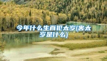 今年什么生肖犯太岁(害太岁是什么)