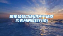 梅花易数口诀(用天干地支代表月的推排方法)