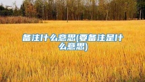 备注什么意思(要备注是什么意思)