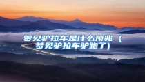 梦见驴拉车是什么预兆 (梦见驴拉车驴跑了)
