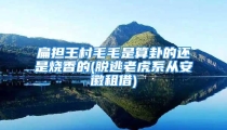 扁担王村毛毛是算卦的还是烧香的(脱逃老虎系从安徽租借)