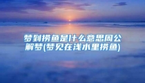 梦到捞鱼是什么意思周公解梦(梦见在浅水里捞鱼)