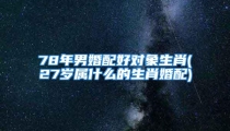 78年男婚配好对象生肖(27岁属什么的生肖婚配)