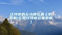 坎坷痣的左小腿位置上的图解(左腿坎坷痣位置图解)