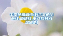 手掌纹路感情线(手掌的生命线,感情线,事业线分别是哪条)