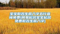 宝宝取名生辰八字五行查询免费(周易起名宝宝起名免费取名生辰八字)