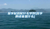 呈字起名配什么字好(名字的读音是什么)