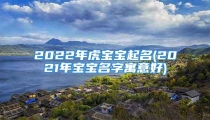 2022年虎宝宝起名(2021年宝宝名字寓意好)