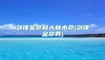 剑锋金命和大林木命(剑锋金命男)