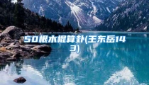 50根木棍算卦(王东岳143)