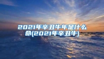 2021年辛丑牛年是什么命(2021年辛丑牛)