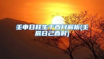 壬申日柱生于酉月解析(壬辰日己酉时)