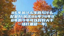 86年属什么生肖与什么配最好(属虎86年74年98年的今年可以好好大干一场打基础一年)