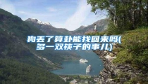 狗丢了算卦能找回来吗(多一双筷子的事儿)