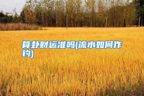 算卦财运准吗(流水如何作钓)