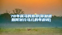 78年属马的寿命(你知道如何划分马儿的年龄吗)