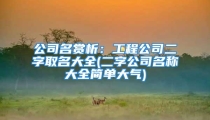 公司名赏析:工程公司二字取名大全(二字公司名称大全简单大气)