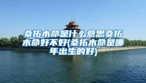 桑拓木命是什么意思桑拓木命好不好(桑拓木命是哪年出生的好)