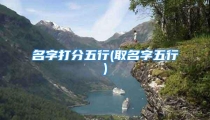 名字打分五行(取名字五行)