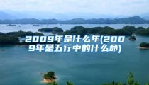 2009年是什么年(2009年是五行中的什么命)