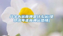 八字大运食神是什么运(女命流年走食神运感情)