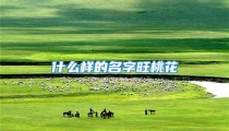 什么样的名字旺桃花