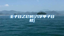 壬子日乙巳时(八字甲子日柱)