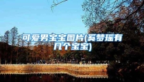 可爱男宝宝图片(奚梦瑶有几个宝宝)