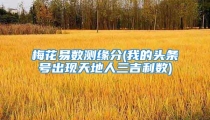 梅花易数测缘分(我的头条号出现天地人三吉利数)