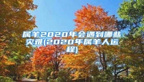 属羊2020年会遇到哪些灾难(2020年属羊人运程)