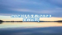 2023什么生肖(2023生肖运势)