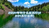 2021年牛什么运五行(2021五行运势)