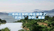 三海梅花易数(梅花易数之“观梅占”卦例)_重复