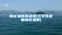 梅花易数高级课(孔令伟老师梅花易数)