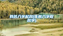 姓名八字起名(生辰八字取名字)