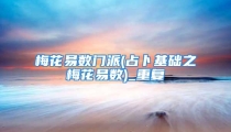 梅花易数门派(占卜基础之梅花易数)_重复