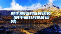 射手座12月3日运势 (射手座11月3日运势)