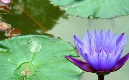 离婚后怎样挽回老公 怎样挽回老公